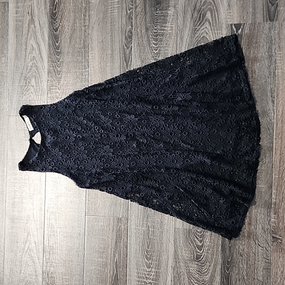 🦜 Ginger G lace Swing Dress 🦜